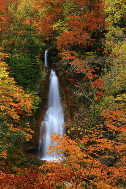 istock Falls of Autumn leaves 1025830360