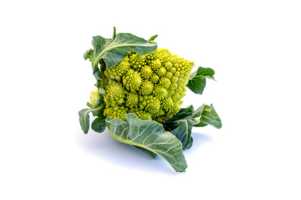 istock Green romanesco cauliflower isolated on white background 1025839038