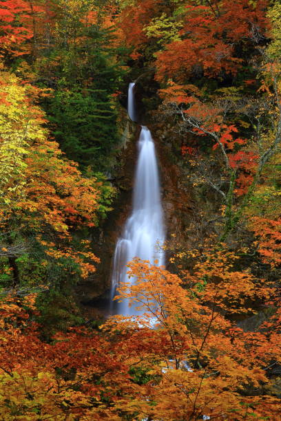 istock Falls of Autumn leaves 1025840290