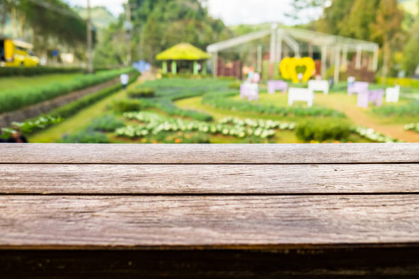 istock Wood table top on plantation garden 1025842582