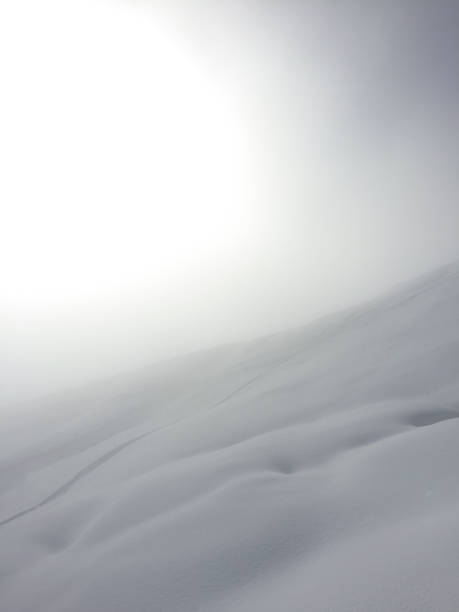istock Foggy winter landscape 1025842954