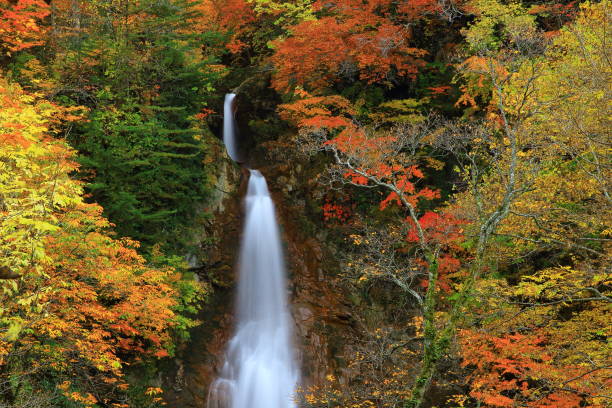 istock Falls of Autumn leaves 1025848484