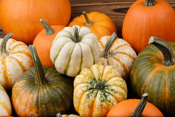 istock Pumpkins on wooden background 1025848626