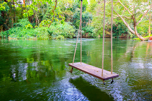 wooden swing at the peaceful river in forest