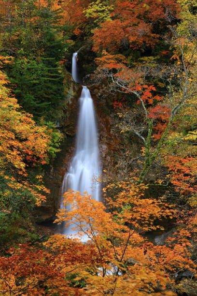 istock Falls of Autumn leaves 1025855710
