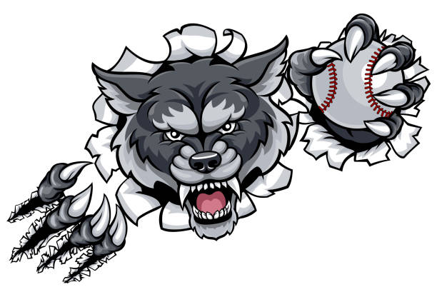 illustrations, cliparts, dessins animés et icônes de loup fond de rupture de mascotte de baseball - characters sport animal baseballs