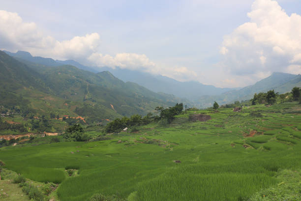 istock Asian Mountains Sapa Vietnam With Cloudy Sky 8 1025858918