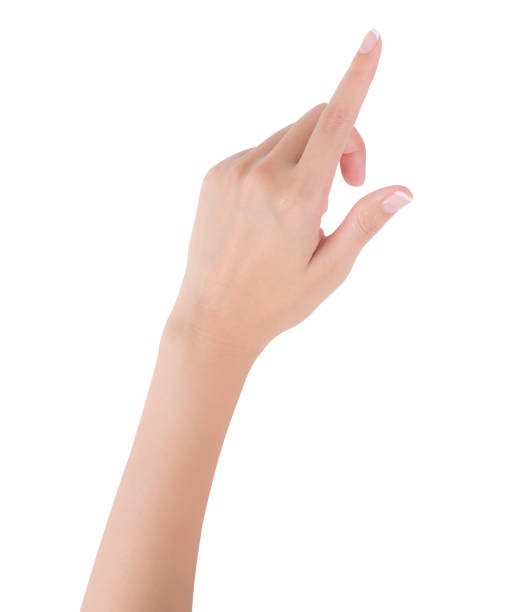 istock Woman hand pointing up with index finger or touching screen, back hand side, isolated on white background. 1025868768