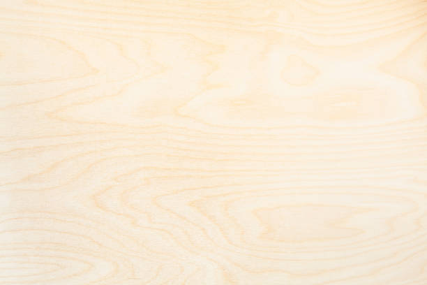 istock wooden background from natural birch board 1025882108