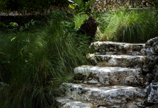 istock Beautiful rock steps next to green plants 1025896218