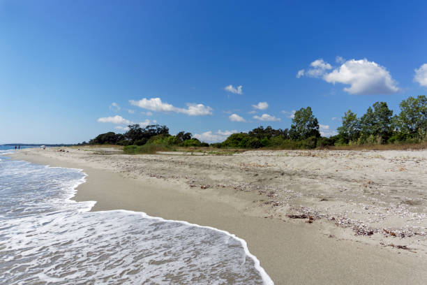 istock Beach in eastern coast of Corsica 1025907868