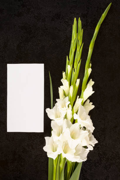 istock Gladioly flowers with blank paper for obituary notice. 1025915948