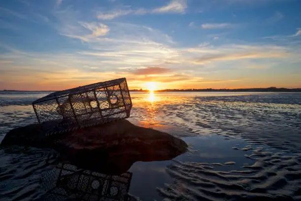 Photo of Lobster cage in the sunset