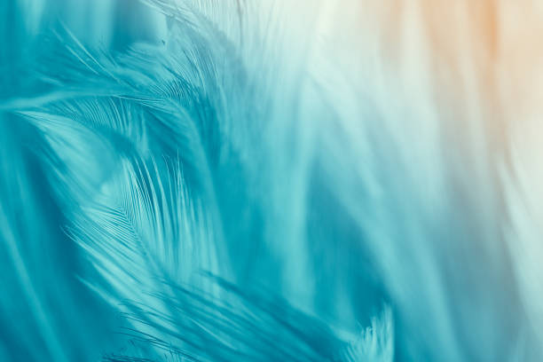istock Green turquoise color trends chicken feather texture background,Light orange 1025929530