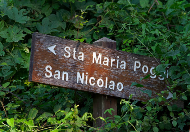 istock Trail signs in Corsica mountain 1025929904