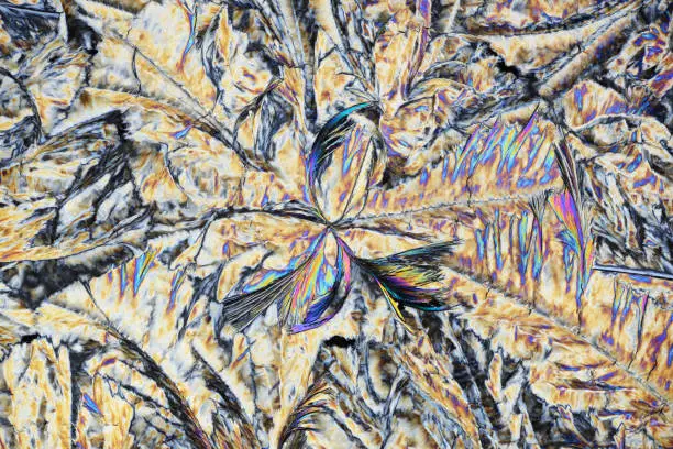 Photo through a microscope of crystals grown from the melt of stearic acid. Polarized light technology.
