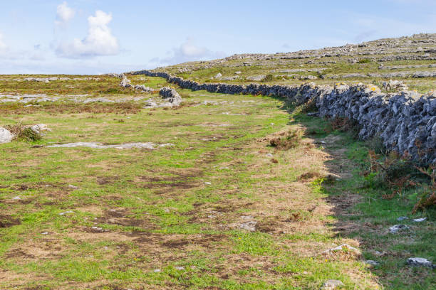 istock Hiking trail with stone walls in Burren mountains 1025945558