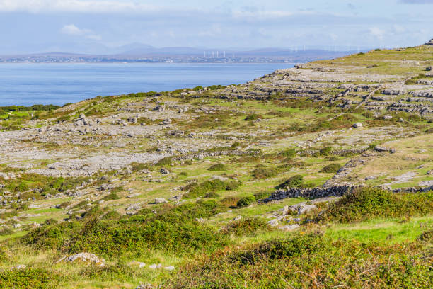 campo fincas con paredes de piedra y galway bay en fondo - county clare the burren ballyvaughan stone fotografías e imágenes de stock