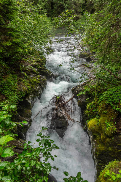 istock Winner creek river flow after the rain 1025948564