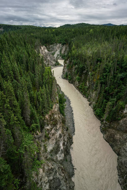 istock Kuskulana river spate view from top 1025950688