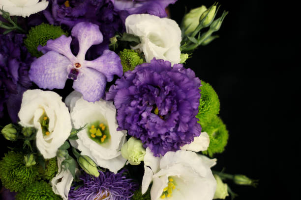 istock bouquet on a black background on the left side 1025959746