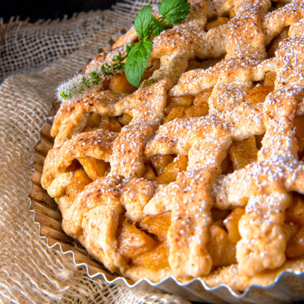 istock Tasty Apple pie with lattice upper crust 1025960372
