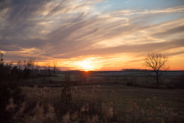 istock Cloudy Winter Sunset over Wild Grass and Fields with Blue Sky in Blurred Foreground 1025963090