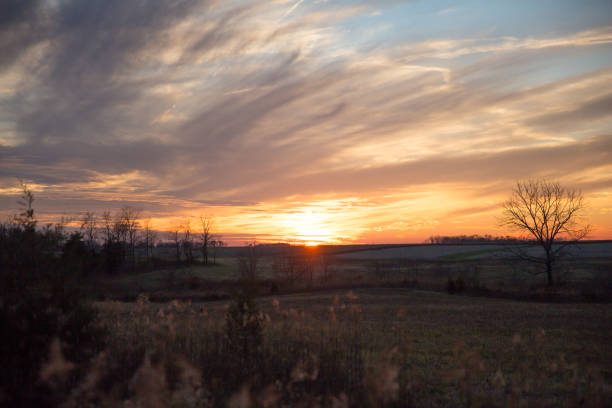 istock Cloudy Winter Sunset over Wild Grass and Fields with Blue Sky in Blurred Foreground 1025963398
