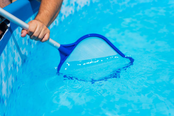istock Backyard garden swimming pool cleaning close up 1025971516