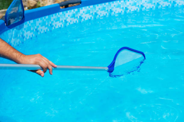 istock Backyard garden swimming pool cleaning close up 1025971604