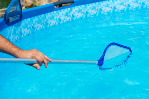 istock Backyard garden swimming pool cleaning close up 1025971616
