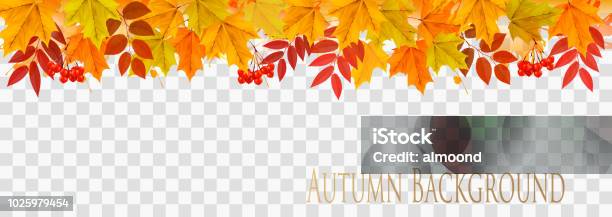 透明な背景ベクトルにカラフルな葉を持つ抽象的な秋のパノラマ - 秋のベクターアート素材や画像を多数ご用意 - 秋, 落ちる, 葉