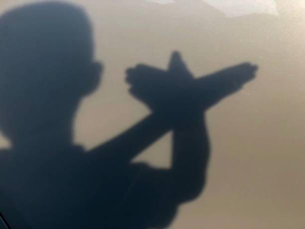 istock Boy making a shadow of bird 1025980002