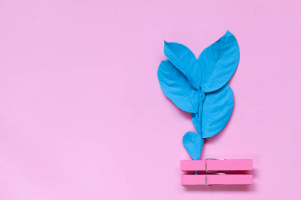 istock Chlothe spin and leaves in vibrant bold colors. 1025980334