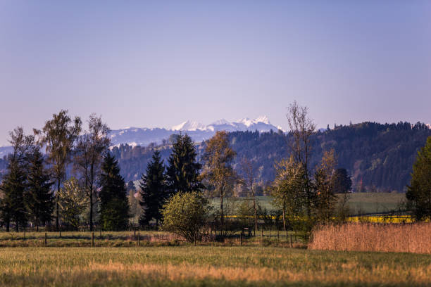 istock Snowy Alpine Mountains and Nature Reserve on a Sunny Spring Morning 1025983668