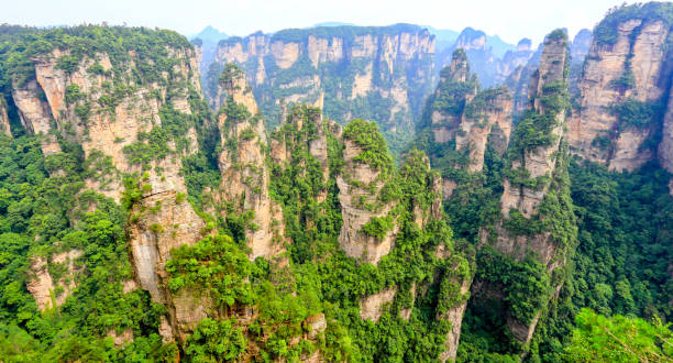 istock Zhang jia jie 1025984224