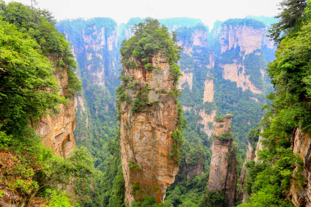 istock Zhang jia jie 1025986572