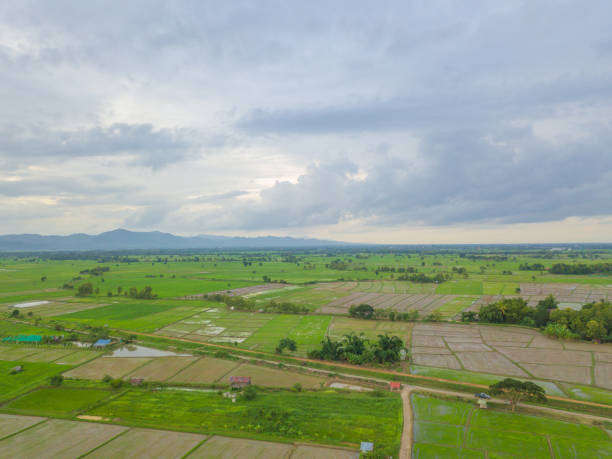 istock Fields view aerial photo from drone 1025992354