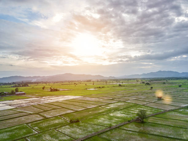 istock Fields view aerial photo from drone 1025992364