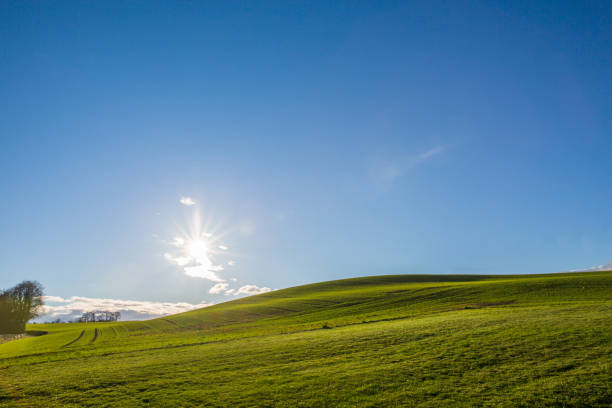istock Rolling Green Fields and Blue Sky on a Bright Sunny Day 1025998318