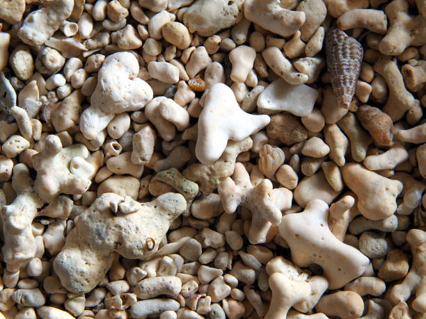 istock close-up of beach sand made by white broken coral 1026001652