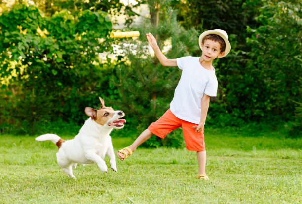istock Funny kid boy throws stick to his dog playing fetch game 1026002266