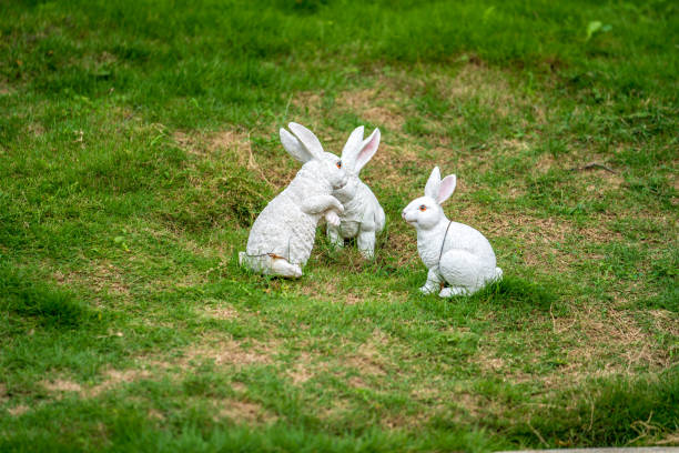 istock A cute rabbit on a green lawn in the suburbs 1026002574