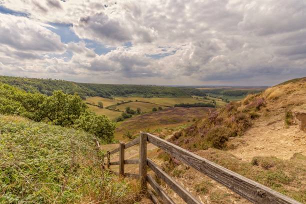 istock A deep valley in the North York Moors. 1026008696