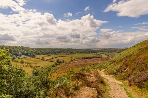 istock A deep valley in the North York Moors. 1026011232