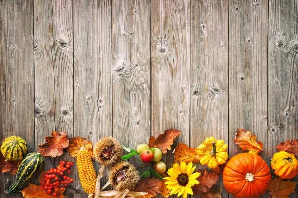 Photo of Harvest or Thanksgiving background with autumnal leaves, fruits and gourds