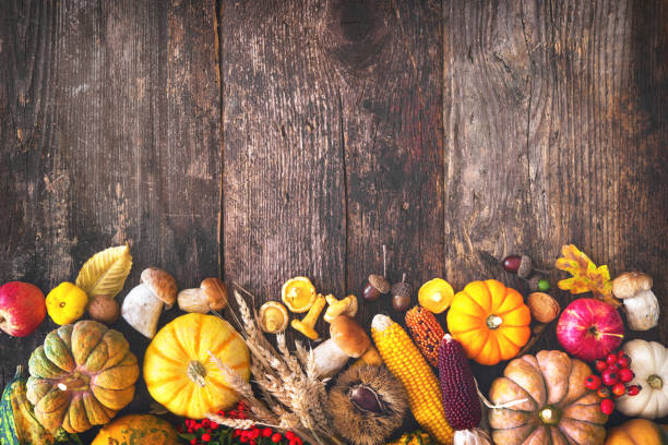 istock Harvest or Thanksgiving background 1026013200