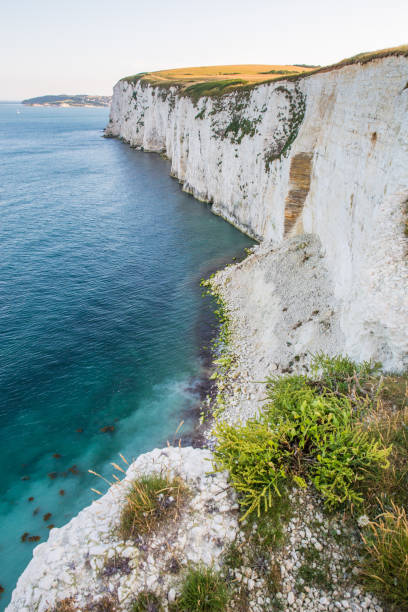 istock White Cliffs of Handfast Point with Turquoise Atlantic Ocean on a Sunny Day 1026018386