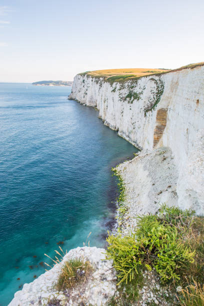 istock White Cliffs of Handfast Point with Turquoise Atlantic Ocean on a Sunny Day 1026018492