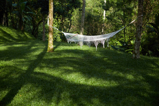 elderly outdoor relaxation